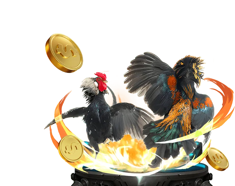 Đá Gà Trực Tiếp rr88